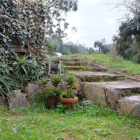 Σπίτι διακοπών Casa Da Ruiva Serra